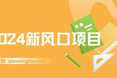 2024新风口项目，长期稳定副业创业，日入过千逆风翻盘