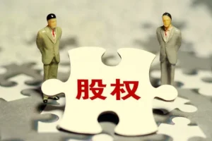 宋俊生《股权法律风险与常识》抖音同款课程 企业股权法律实务指南