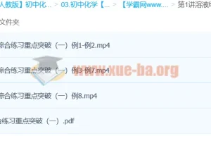 中考化学溶液综合练习重点突破 陈潭飞2讲精讲