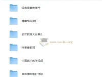 中国武术教学视频合集 擒拿格斗散打咏春拳教程