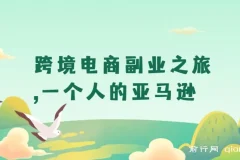 跨境电商副业实战：一个人的亚马逊运营课，从选品到利润全解析