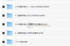 2024春下初三中考化学陈潭飞A+班 专题强化与真题精讲