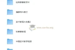 中国武术教学视频合集 擒拿格斗散打咏春拳教程
