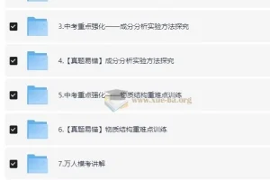 2024春下初三中考化学陈潭飞A+班 专题强化与真题精讲