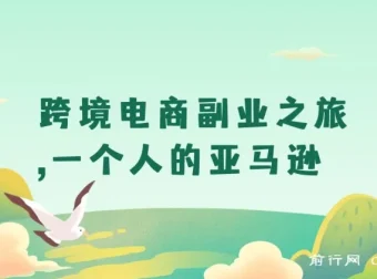 跨境电商副业实战：一个人的亚马逊运营课，从选品到利润全解析