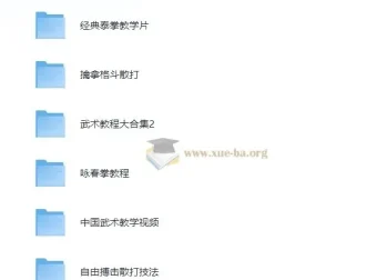 中国武术教学视频合集 擒拿格斗散打咏春拳教程