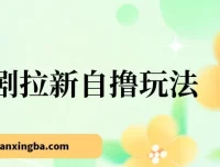 2024短剧拉新自撸玩法 单机时收益18 可批量操作