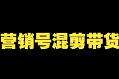 营销号混剪带货全流程课：从内容创作到流量变现实战教学