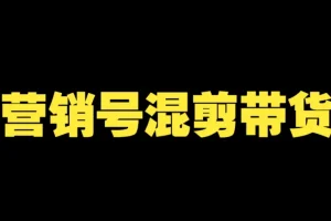 营销号混剪带货全流程课：从内容创作到流量变现实战教学