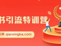 小红书引流特训营第5期：零基础玩转小红书，打造百万流量账号
