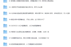 2025最新网创项目合集：事业赚钱必学教程，涵盖短视频带货、AI变现、小红书运营等实战玩法