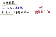 2024清越姐姐高三化学选修一系统课+酸碱盐专题 高考冲刺提分必备