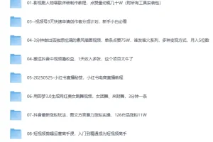 2025最新网创项目合集：事业赚钱必学教程，涵盖短视频带货、AI变现、小红书运营等实战玩法