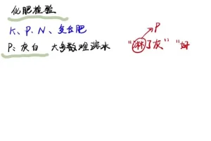 2024清越姐姐高三化学选修一系统课+酸碱盐专题 高考冲刺提分必备