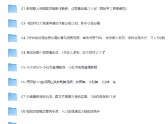 2025最新网创项目合集：事业赚钱必学教程，涵盖短视频带货、AI变现、小红书运营等实战玩法
