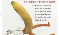 前X手册 By熙墨爱经 资源介绍