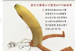 前X手册 By熙墨爱经 资源介绍