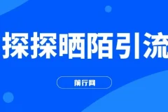 探探陌陌日引200男粉，新手当天可变现300+实战教程