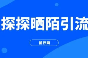 探探陌陌日引200男粉，新手当天可变现300+实战教程