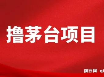全网撸茅台渠道终极攻略手册 保姆级教学完整版