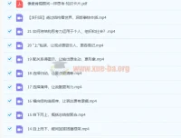 像麦肯锡顾问一样思考 21讲完结 结构思考力实战课程