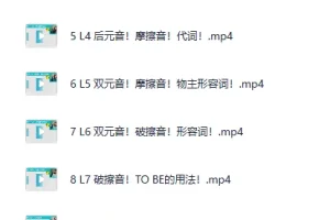 B站付费课程《英语零基础直达口语流利》来自美国的周树华 完结版