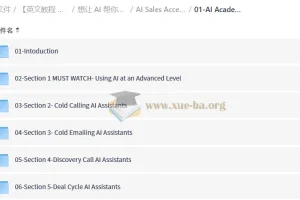 【英文中字】AI销售加速器：CRM自动化与冷邮件转化实战课