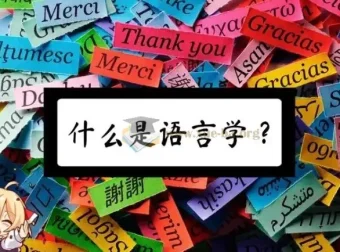 语言学常识科普动画合集：从词源揭秘到语法修辞