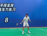 迪迪王羽毛球64节PRO特训课：30天跟练速成高远球杀球反拍