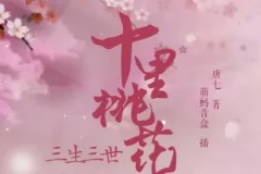 有声小说《三生三世十里桃花》影视剧原著多人有声剧 48集完结