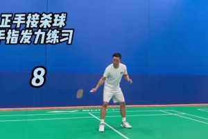 迪迪王羽毛球64节PRO特训课：30天跟练速成高远球杀球反拍