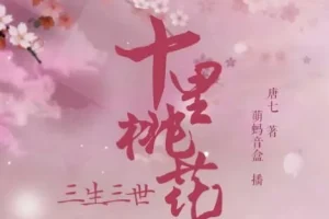 有声小说《三生三世十里桃花》影视剧原著多人有声剧 48集完结
