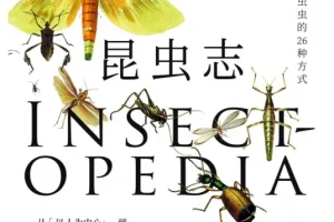 自然万物科普百科套装3册：昆虫志+大自然的社交网络+森林的奇妙旅行（EPUB电子书）