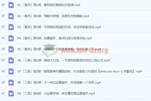 2024高三高考数学 大题狂飙营2.0 树成林 冲刺提分课程