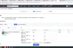 拼多多运营实战课：爆款打造与流量提升全攻略