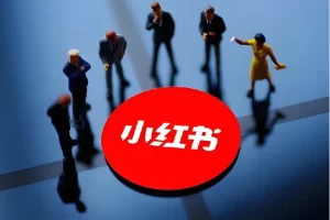 小红书聚光投放基本原理实操课，从零掌握广告投放全流程