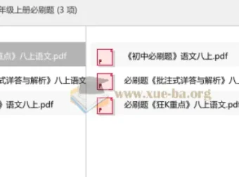 2026版语文八年级上册必刷题 同步练习与详解全三册