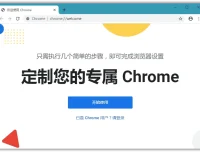 Chrome v127.0.6533.120 绿色便携增强版