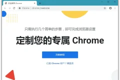 Chrome v127.0.6533.120 绿色便携增强版