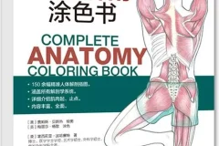 完全人体解剖涂色书 150余幅精准插图 涵盖全部解剖学系统 电子书pdf