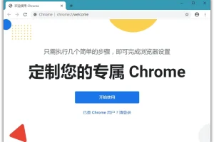 Chrome v127.0.6533.120 绿色便携增强版
