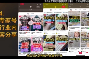 抖音小红书饰品变现实战课：货源开店内容与AI模特全流程教学