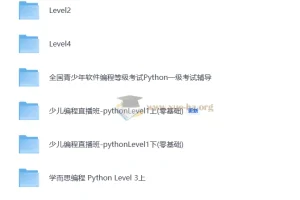 学而思少儿编程Python课程 Level1-Level4全套视频