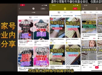抖音小红书饰品变现实战课：货源开店内容与AI模特全流程教学