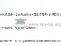 杨家成英语课程合集：十合一全套+精品课四合一+趣味英语三合一
