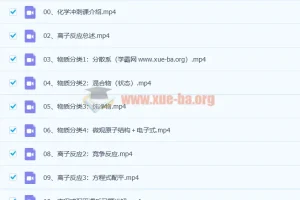 2022年树成林化学冲刺课33讲 高考化学复习资料