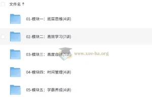 高冷冷-如何成为学习高手【教程】全24讲：底层思维到学霸养成