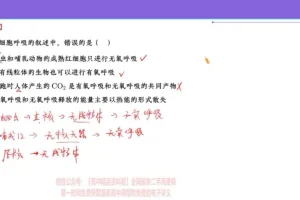 2024高三生物张元振全年班：遗传/细胞/生态专题精讲