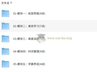 高冷冷-如何成为学习高手【教程】全24讲：底层思维到学霸养成