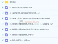 2024高三高考物理 蔺天威物理S春季班 课程资源